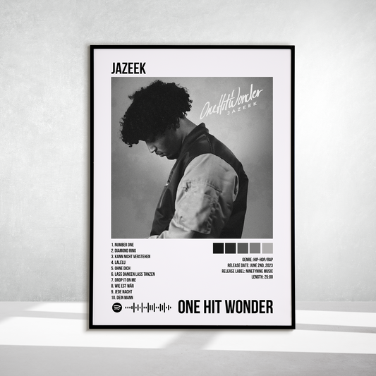 One Hit Wonder