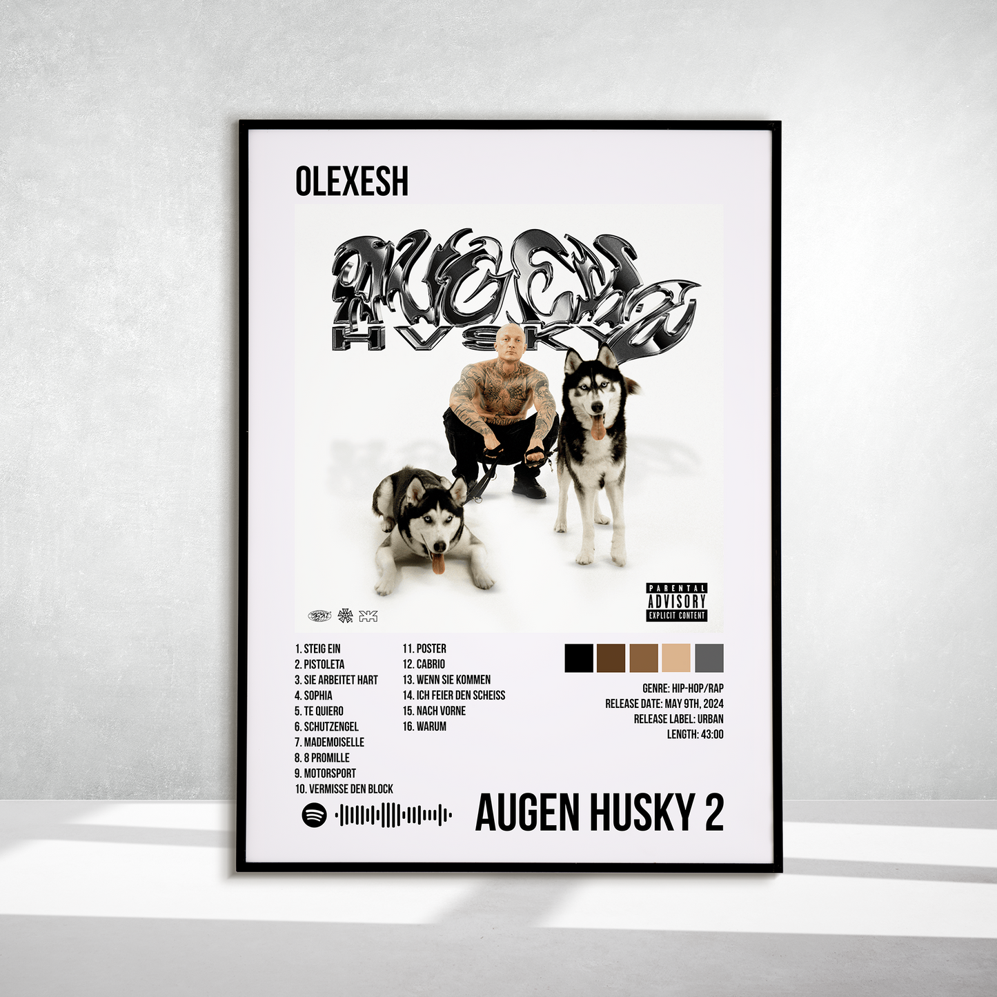 Augen Husky 2